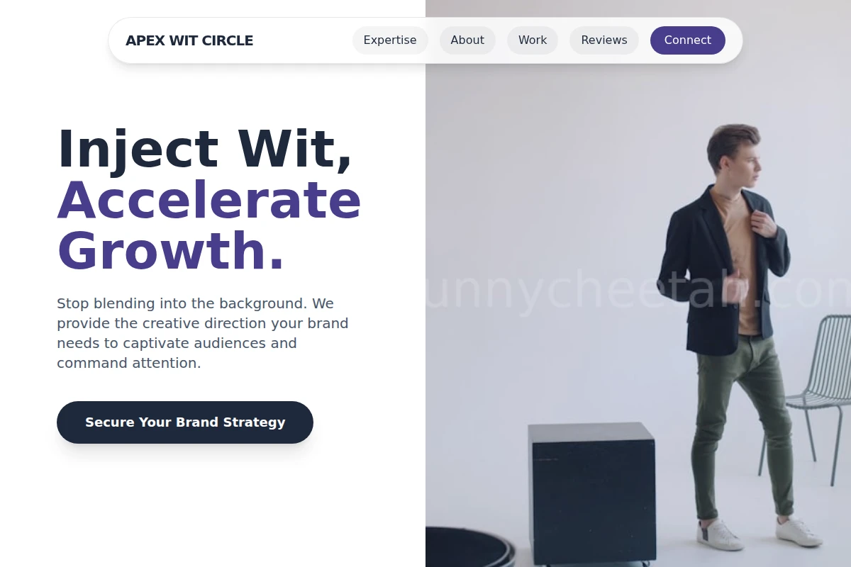 Zoom Creative Direction
