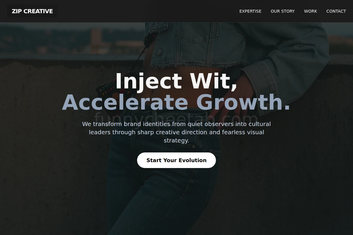 Zip Creative Direction