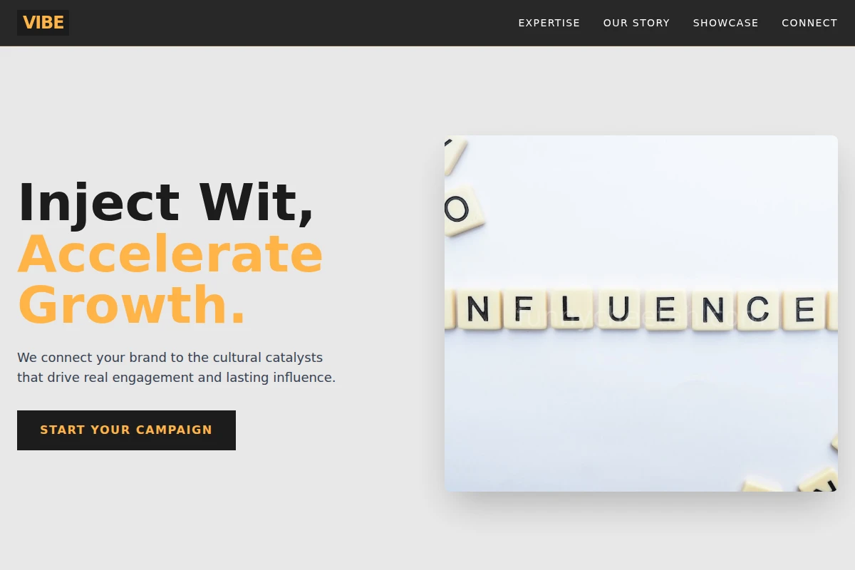 Vibe Influencer Marketing