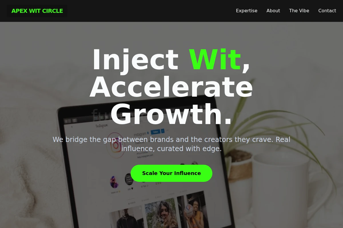 Punchy Influencer Marketing