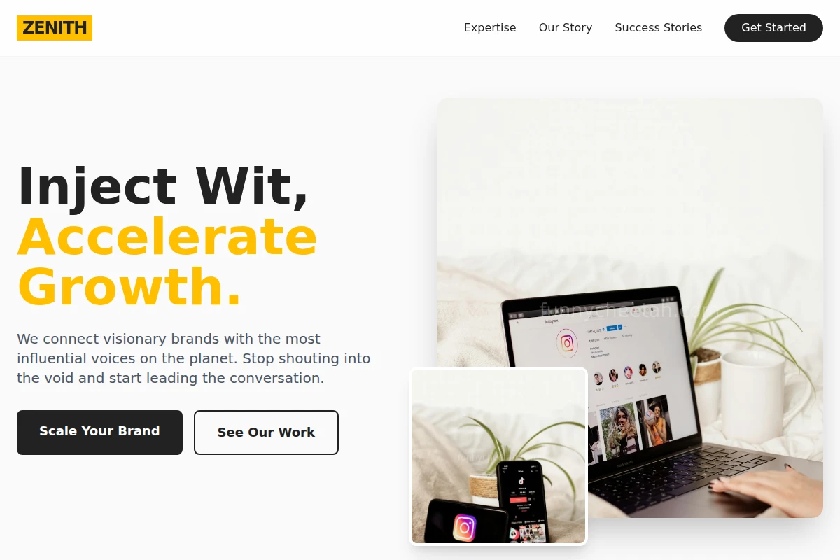 Zenith Influencer Marketing