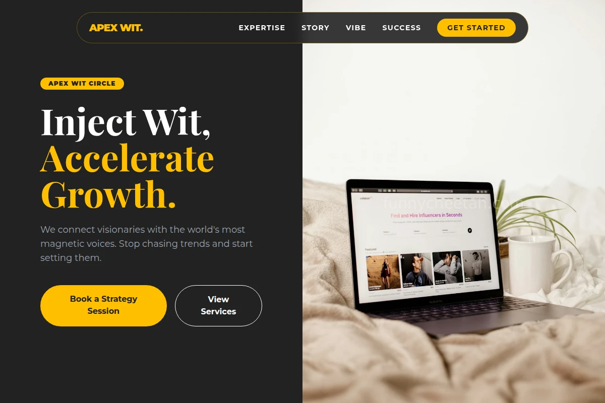 Vibe Influencer Marketing