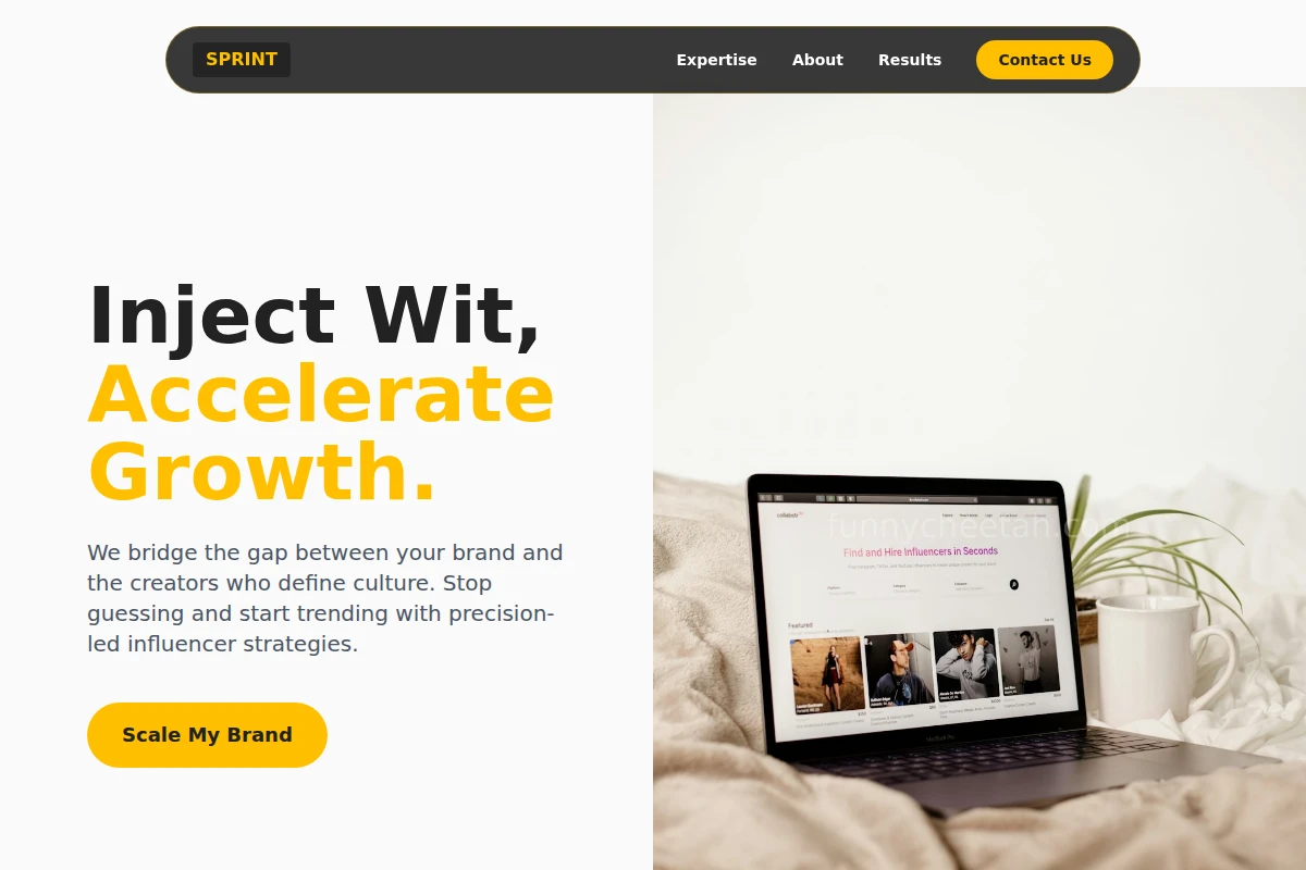 Sprint Influencer Marketing
